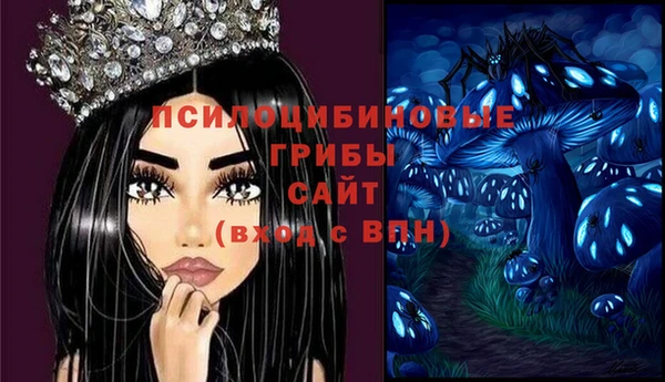 бошки Абдулино