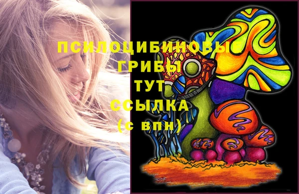 a pvp Алексин