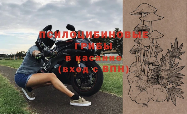 бошки Абдулино