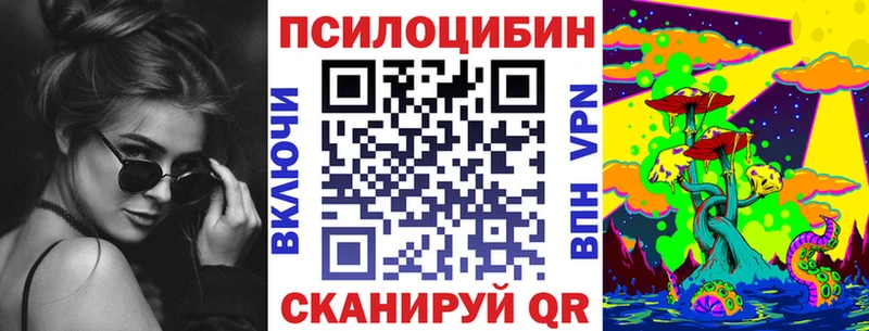 ОМГ ОМГ рабочий сайт  купить наркотики цена  Новочебоксарск  Псилоцибиновые грибы Psilocybe 