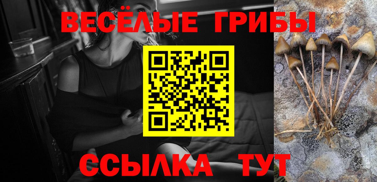 Новочебоксарск  Псилоцибиновые грибы Cubensis  закладки  Вход с VPN 